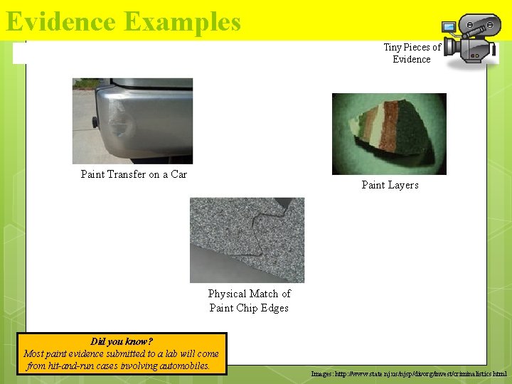Evidence Examples Tiny Pieces of Evidence Paint Transfer on a Car Paint Layers Physical Evidence Examples Tiny Pieces of Evidence Paint Transfer on a Car Paint Layers Physical