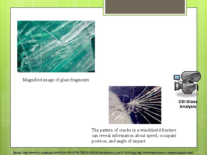 Magnified image of glass fragments CSI Glass Analysis The pattern of cracks in a Magnified image of glass fragments CSI Glass Analysis The pattern of cracks in a