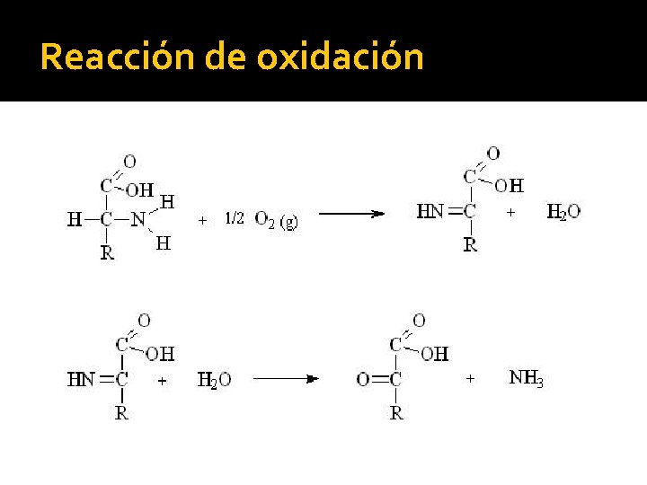 Reacción de oxidación 
