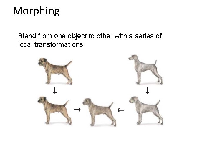 Morphing Blend from one object to other with a series of local transformations 