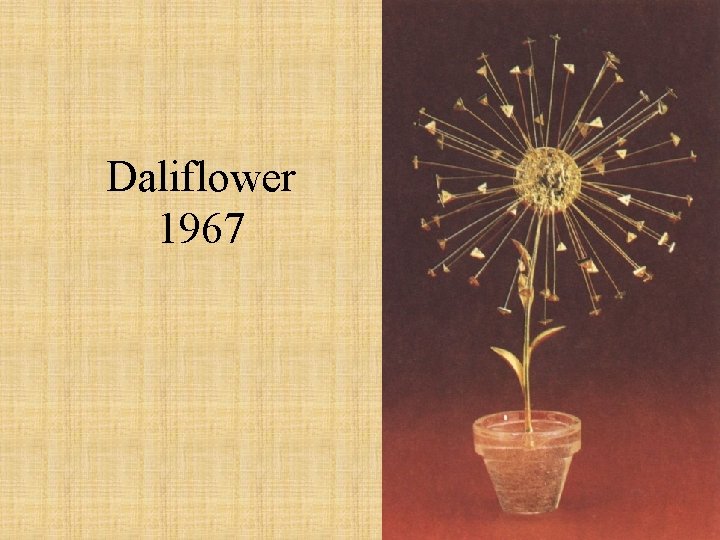 Daliflower 1967 Daliflower 1967