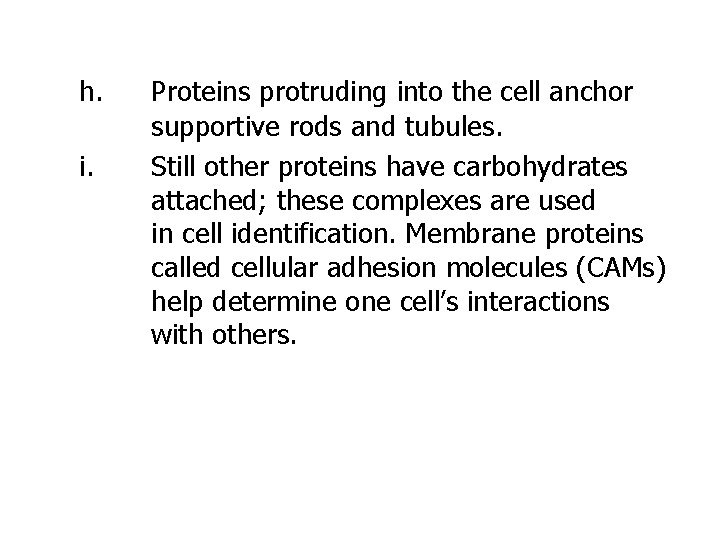 h. i. Proteins protruding into the cell anchor supportive rods and tubules. Still other