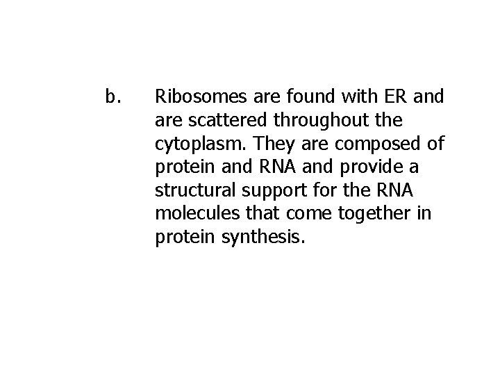 b. Ribosomes are found with ER and are scattered throughout the cytoplasm. They are