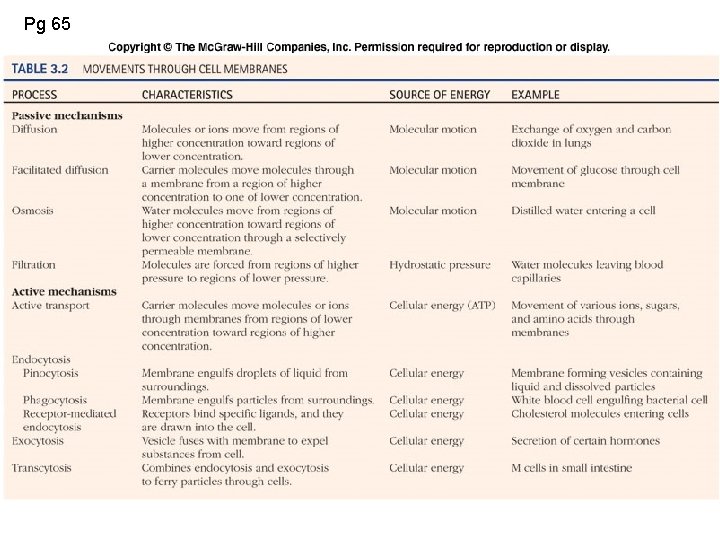 Pg 65 Table. 3. 02 
