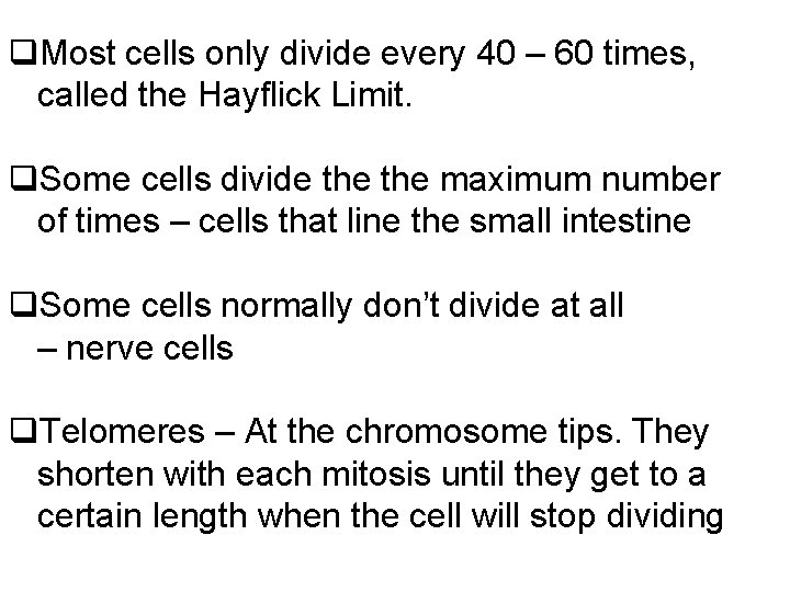q. Most cells only divide every 40 – 60 times, called the Hayflick Limit.