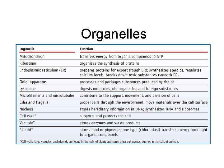 Chapter 3 Organelles 