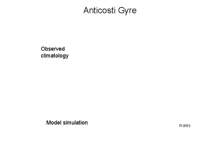 Anticosti Gyre Observed climatology Model simulation males 