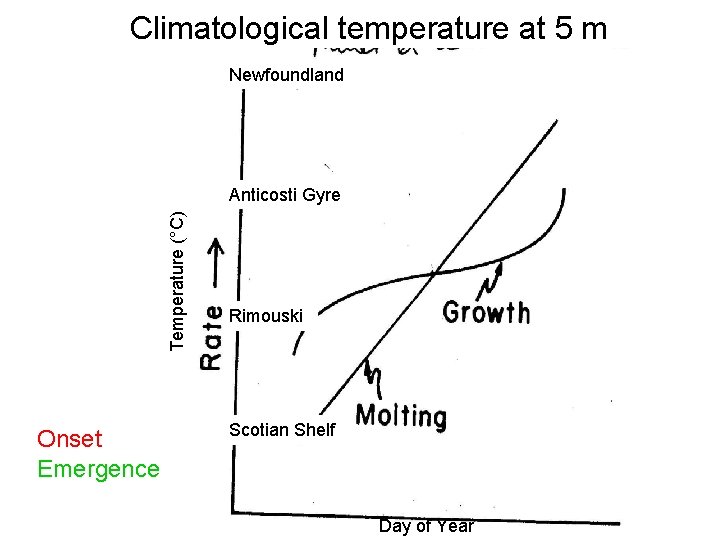 Climatological temperature at 5 m Newfoundland Temperature (°C) Anticosti Gyre Onset Emergence Rimouski Scotian