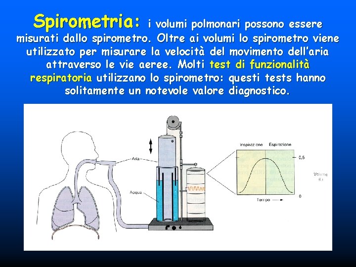 Spirometria: i volumi polmonari possono essere misurati dallo spirometro. Oltre ai volumi lo spirometro