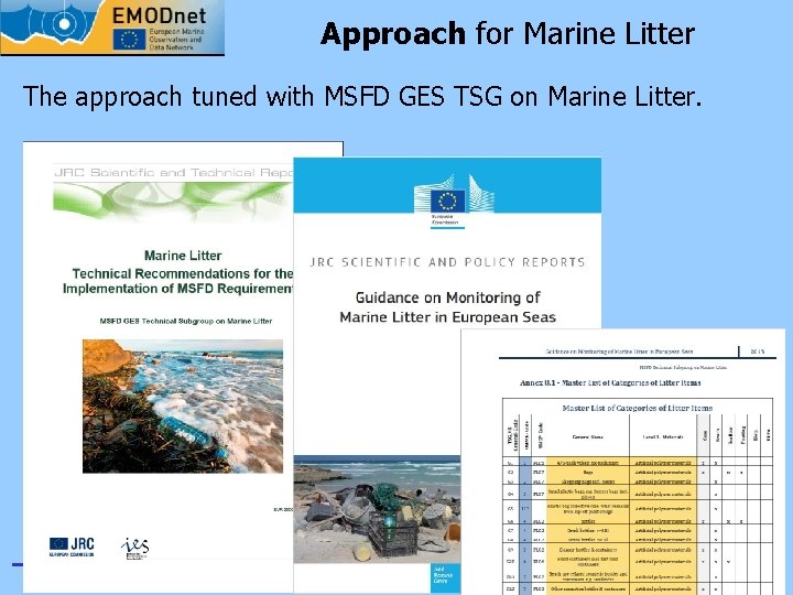 Approach for Marine Litter The approach tuned with MSFD GES TSG on Marine Litter.