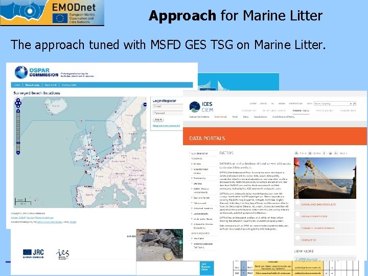 Approach for Marine Litter The approach tuned with MSFD GES TSG on Marine Litter.