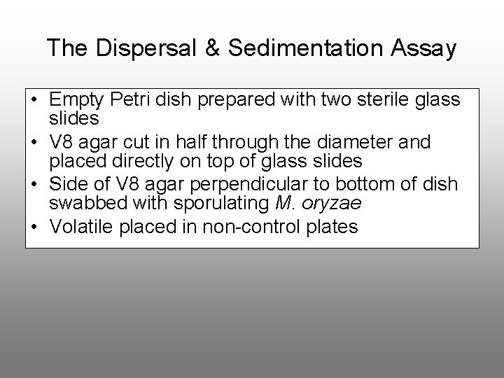 The Dispersal & Sedimentation Assay • Empty Petri dish prepared with two sterile glass