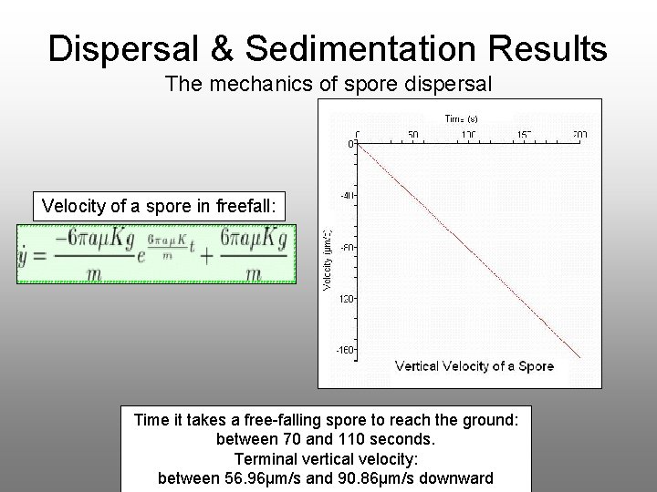 Dispersal & Sedimentation Results The mechanics of spore dispersal Velocity of a spore in