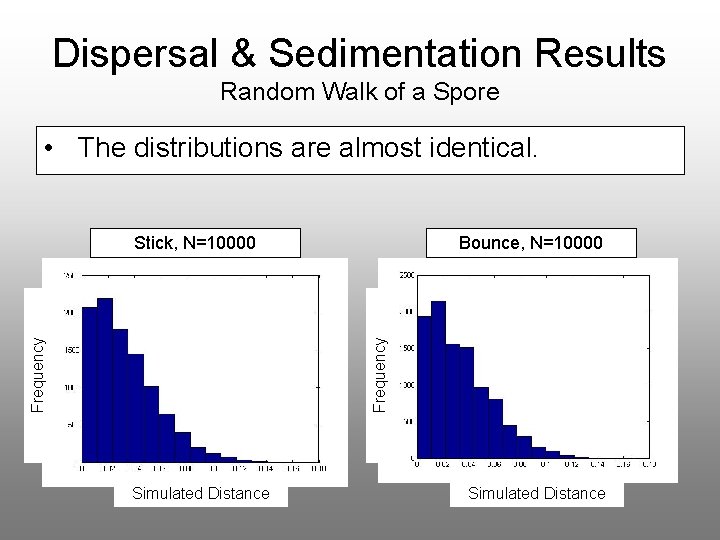 Dispersal & Sedimentation Results Random Walk of a Spore • The distributions are almost