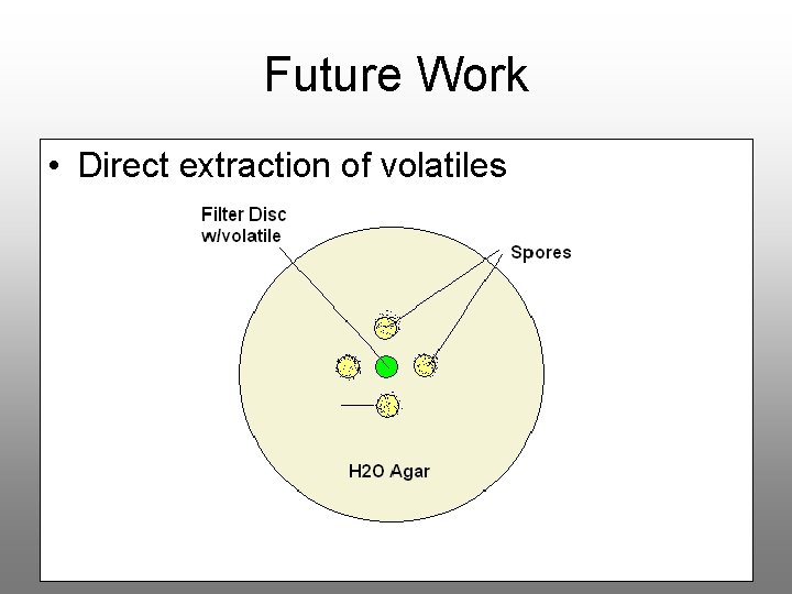 Future Work • Direct extraction of volatiles 