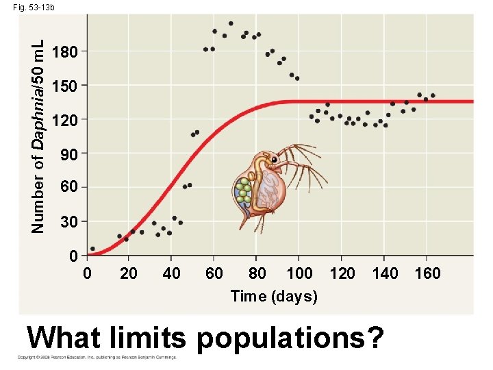 Number of Daphnia/50 m. L Fig. 53 -13 b 180 150 120 90 60