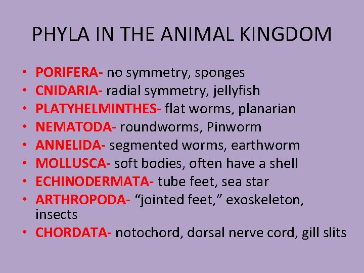 PHYLA IN THE ANIMAL KINGDOM PORIFERA- no symmetry, sponges CNIDARIA- radial symmetry, jellyfish PLATYHELMINTHES-