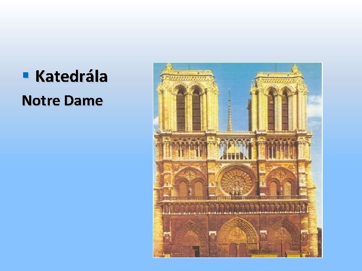 § Katedrála Notre Dame 