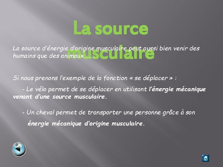 La source musculaire La source d’énergie d’origine musculaire peut aussi bien venir des humains