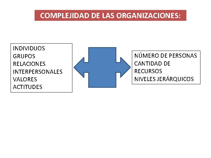 COMPLEJIDAD DE LAS ORGANIZACIONES: INDIVIDUOS GRUPOS RELACIONES INTERPERSONALES VALORES ACTITUDES NÚMERO DE PERSONAS CANTIDAD