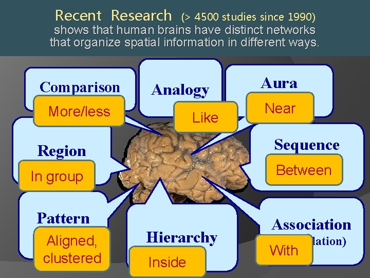 Recent Research (> 4500 studies since 1990) shows brains have distinct networks shows that