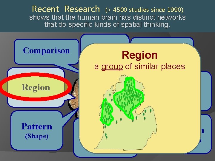 Recent Research (> 4500 studies since 1990) shows that the human brain has distinct