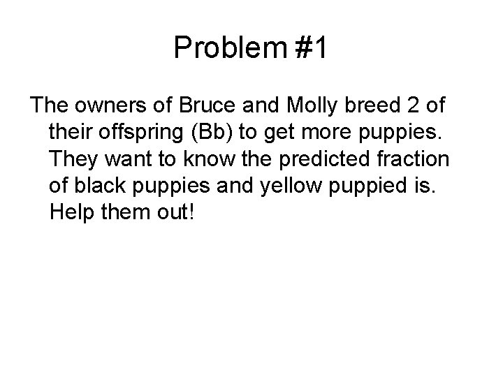 Problem #1 The owners of Bruce and Molly breed 2 of their offspring (Bb)