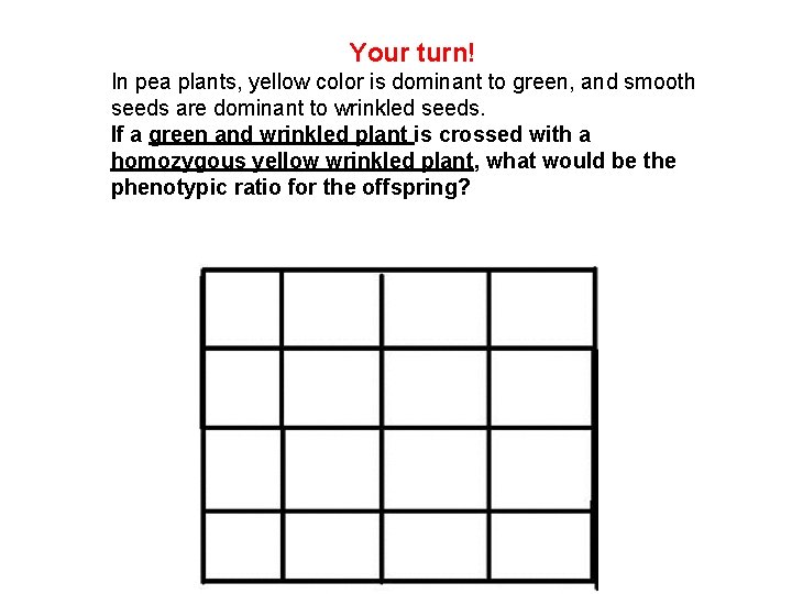 Your turn! In pea plants, yellow color is dominant to green, and smooth seeds