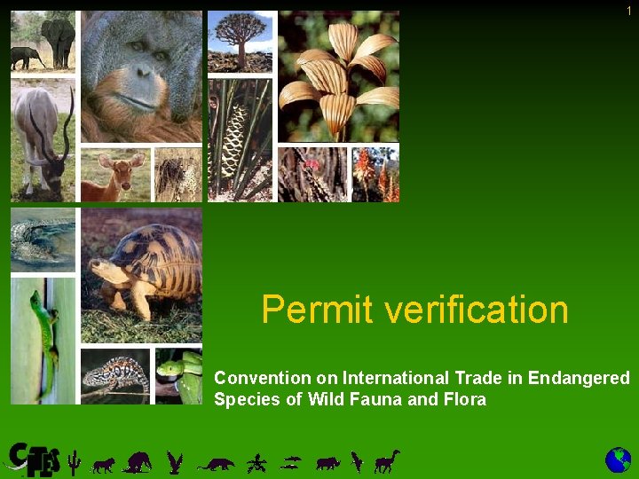 1 Permit verification Convention on International Trade in Endangered Species of Wild Fauna and 1 Permit verification Convention on International Trade in Endangered Species of Wild Fauna and