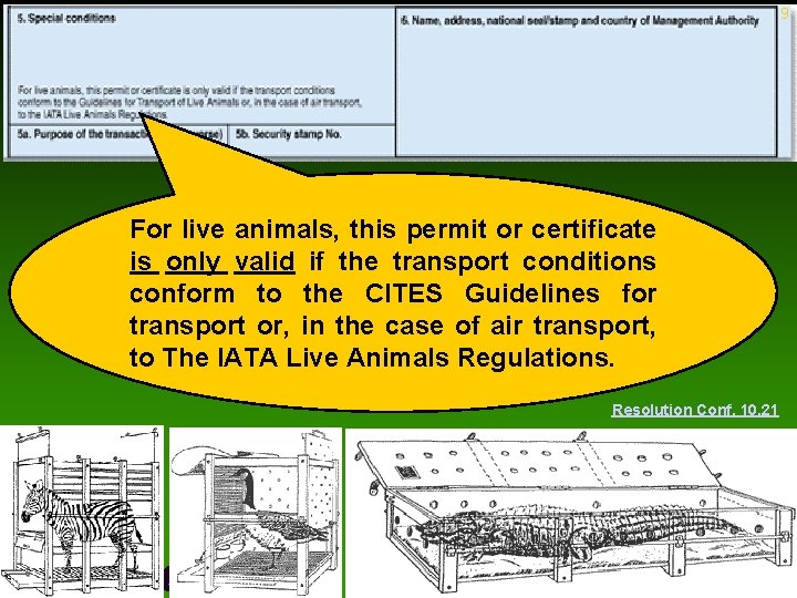 9 For live animals, this permit or certificate is only valid if the transport 9 For live animals, this permit or certificate is only valid if the transport