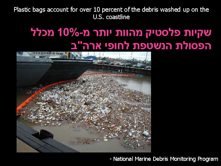 Plastic bags account for over 10 percent of the debris washed up on the