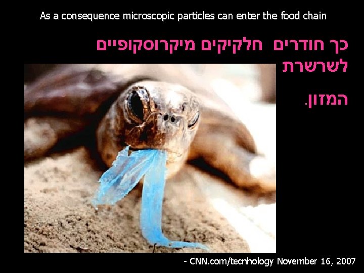 As a consequence microscopic particles can enter the food chain כך חודרים חלקיקים מיקרוסקופיים