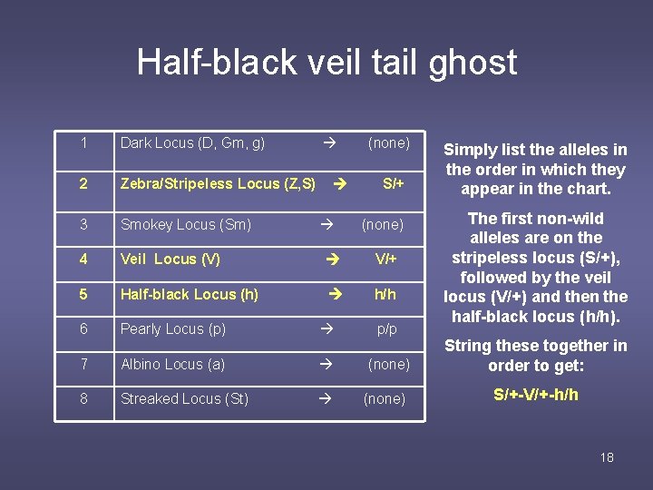 Half-black veil tail ghost 1 Dark Locus (D, Gm, g) 2 Zebra/Stripeless Locus (Z,