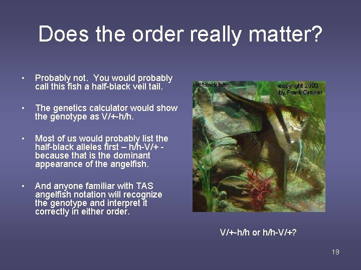 Does the order really matter? • Probably not. You would probably call this fish