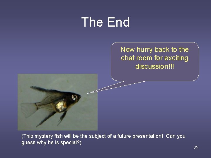 The End Now hurry back to the chat room for exciting discussion!!! (This mystery