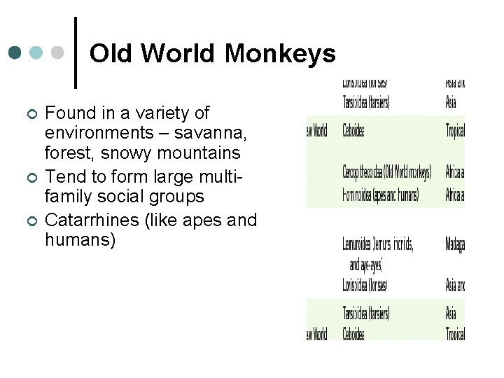 Old World Monkeys ¢ ¢ ¢ Found in a variety of environments – savanna,