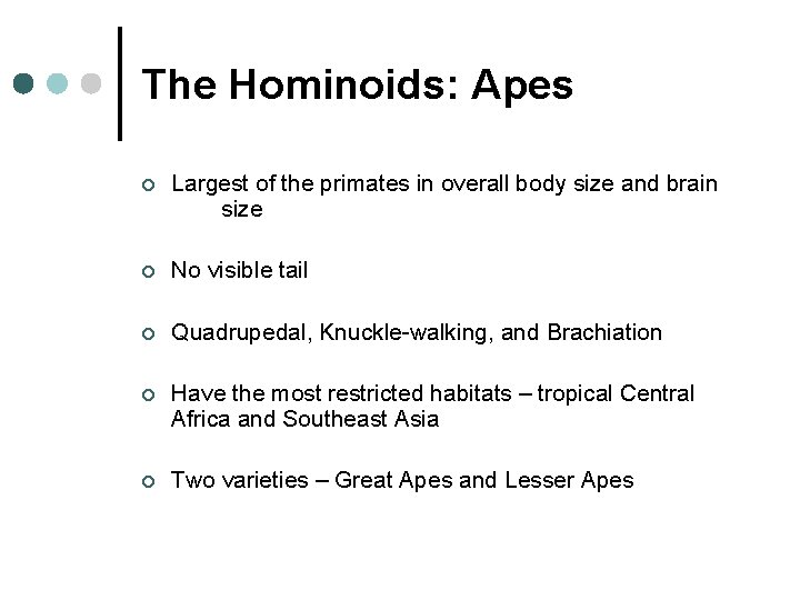 The Hominoids: Apes ¢ Largest of the primates in overall body size and brain