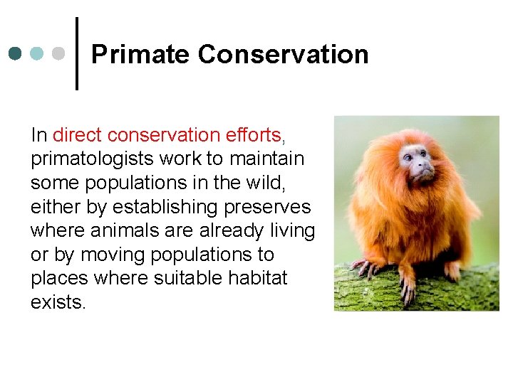 Primate Conservation In direct conservation efforts, primatologists work to maintain some populations in the