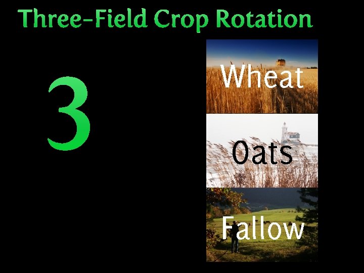 The British Agricultural Revolution AP European History Innovation