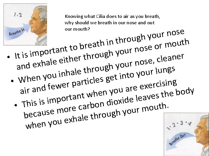 Knowing what Cilia does to air as you breath, why should we breath in