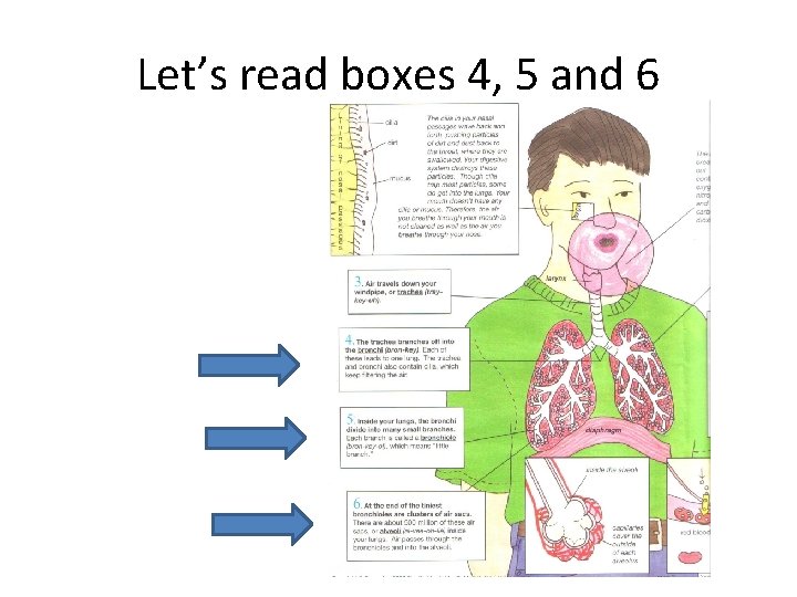 Let’s read boxes 4, 5 and 6 