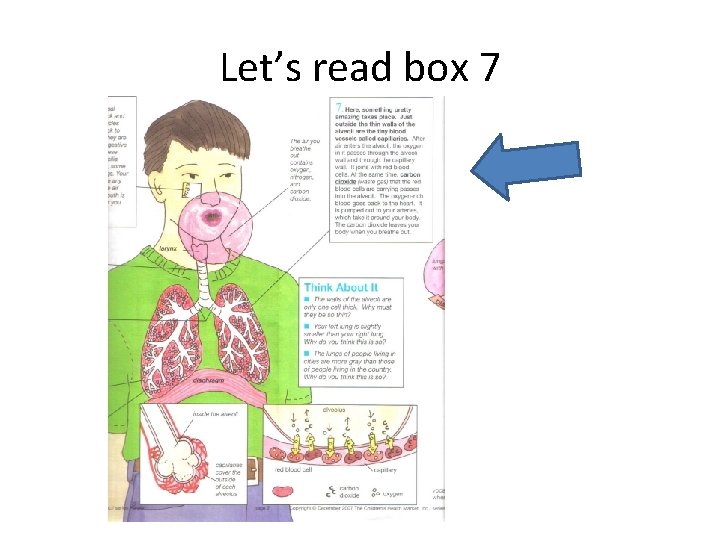 Let’s read box 7 