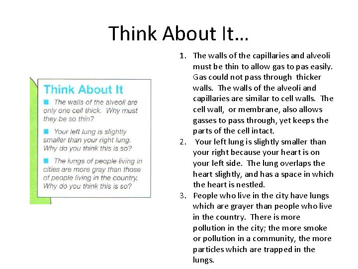 Think About It… 1. The walls of the capillaries and alveoli must be thin