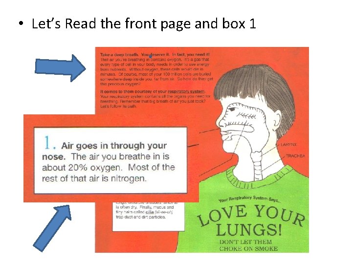  • Let’s Read the front page and box 1 