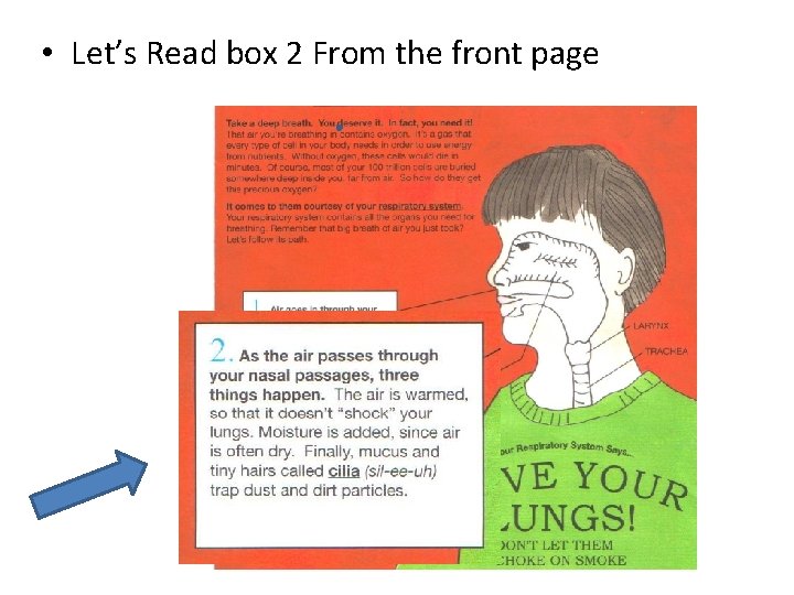 • Let’s Read box 2 From the front page 