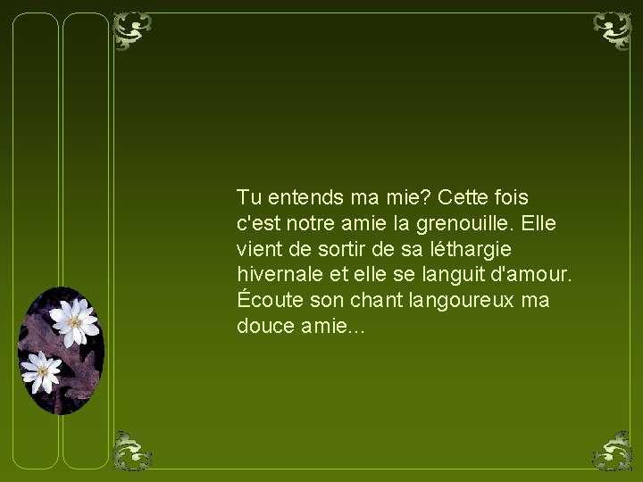 Tu entends ma mie? Cette fois c'est notre amie la grenouille. Elle vient de