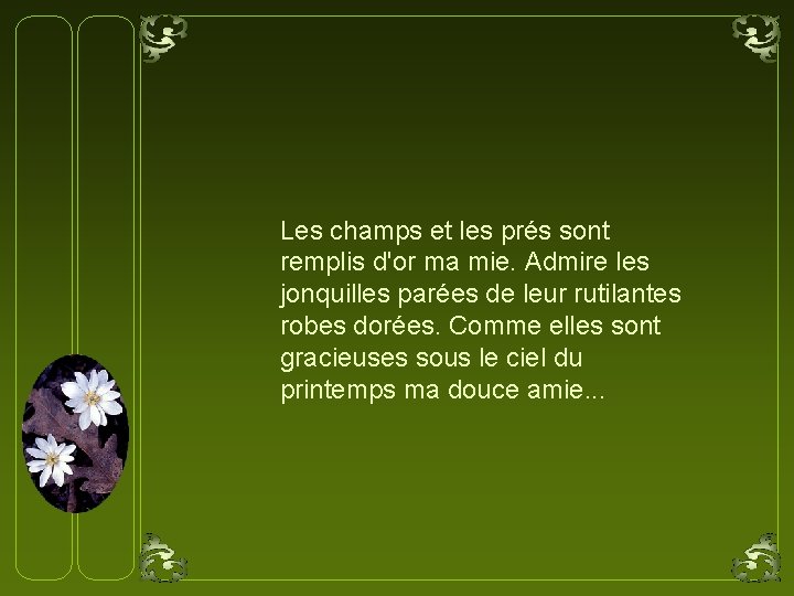 Les champs et les prés sont remplis d'or ma mie. Admire les jonquilles parées