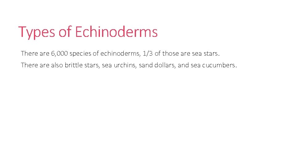 Types of Echinoderms There are 6, 000 species of echinoderms, 1/3 of those are