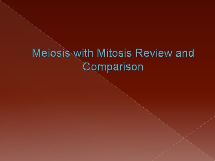 Meiosis with Mitosis Review and Comparison 