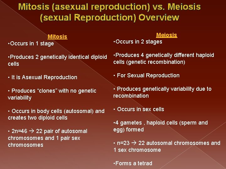 Mitosis (asexual reproduction) vs. Meiosis (sexual Reproduction) Overview Mitosis • Occurs in 1 stage